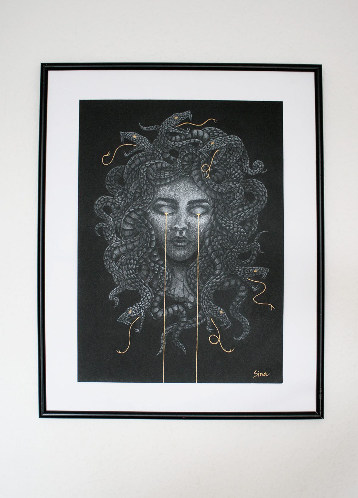 MEDUSA'S CURSE