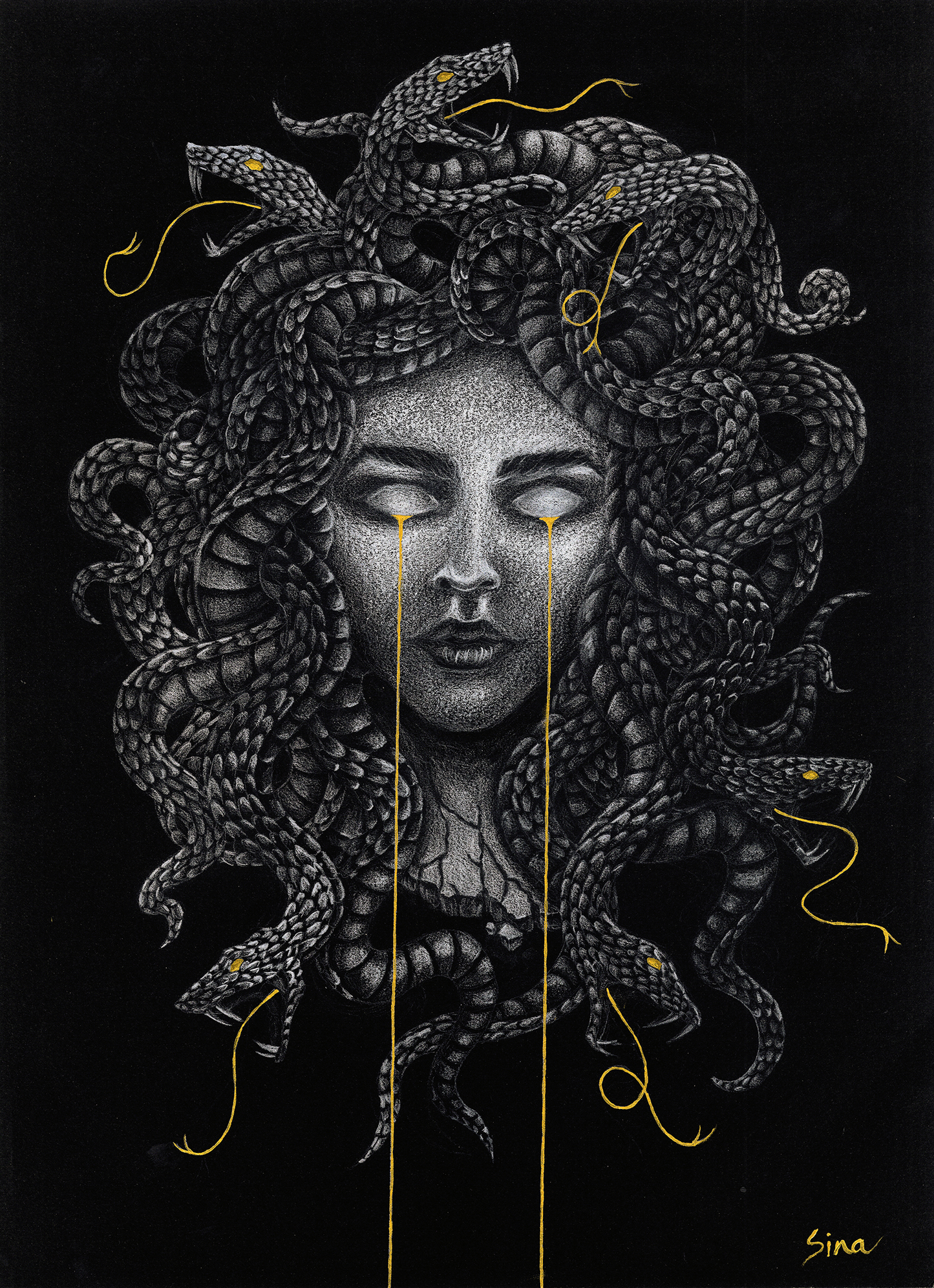 MEDUSA'S CURSE