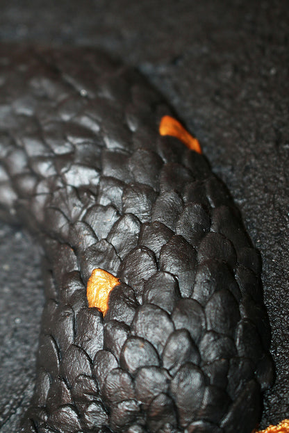 JORMUNGAND
