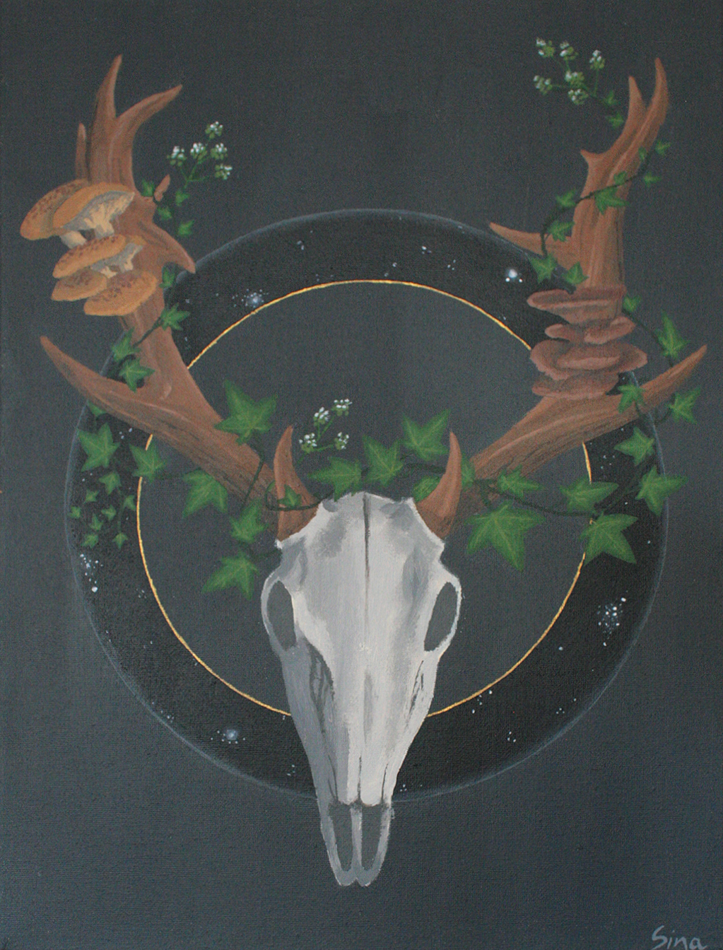 CIRCLE OF LIFE